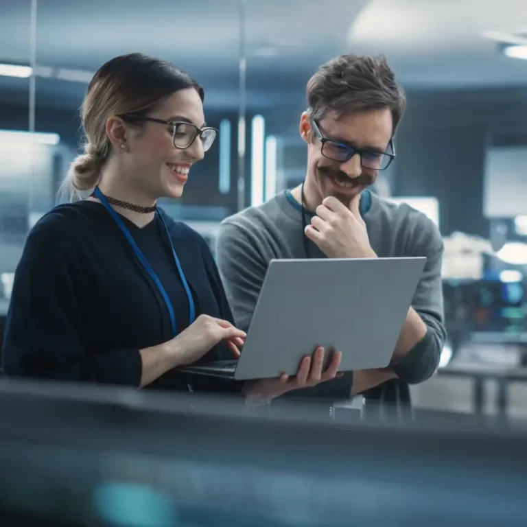 Work partners checking together a publication content in a laptop