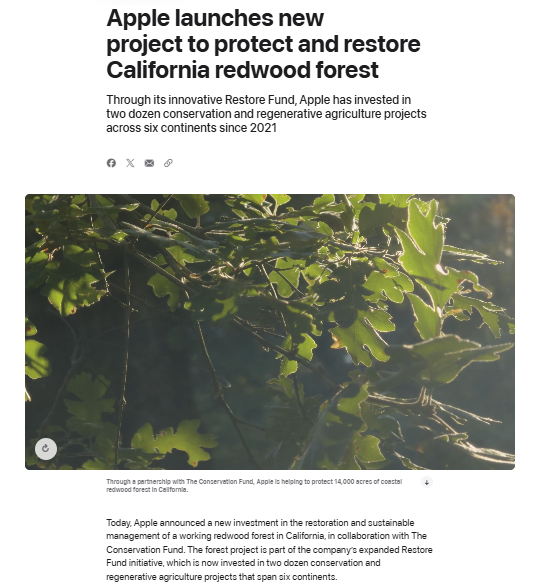 Close-up of sunlit green leaves in a forest, accompanying an article about Apple's initiative to protect and restore the California redwood forest.